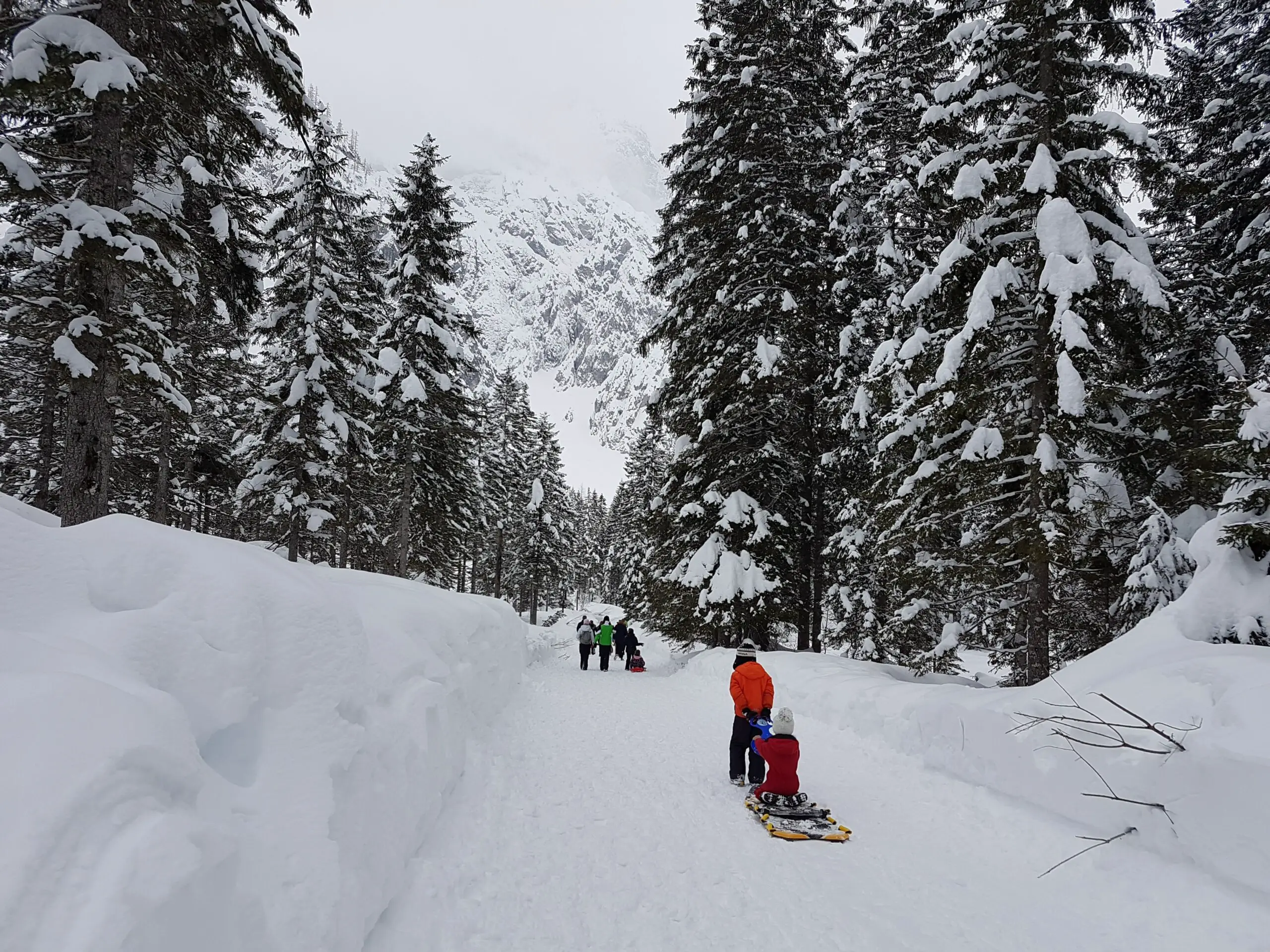 Mehrere Schlittenfahrer ziehen ihre Schlitten über einen verschneiten Waldweg