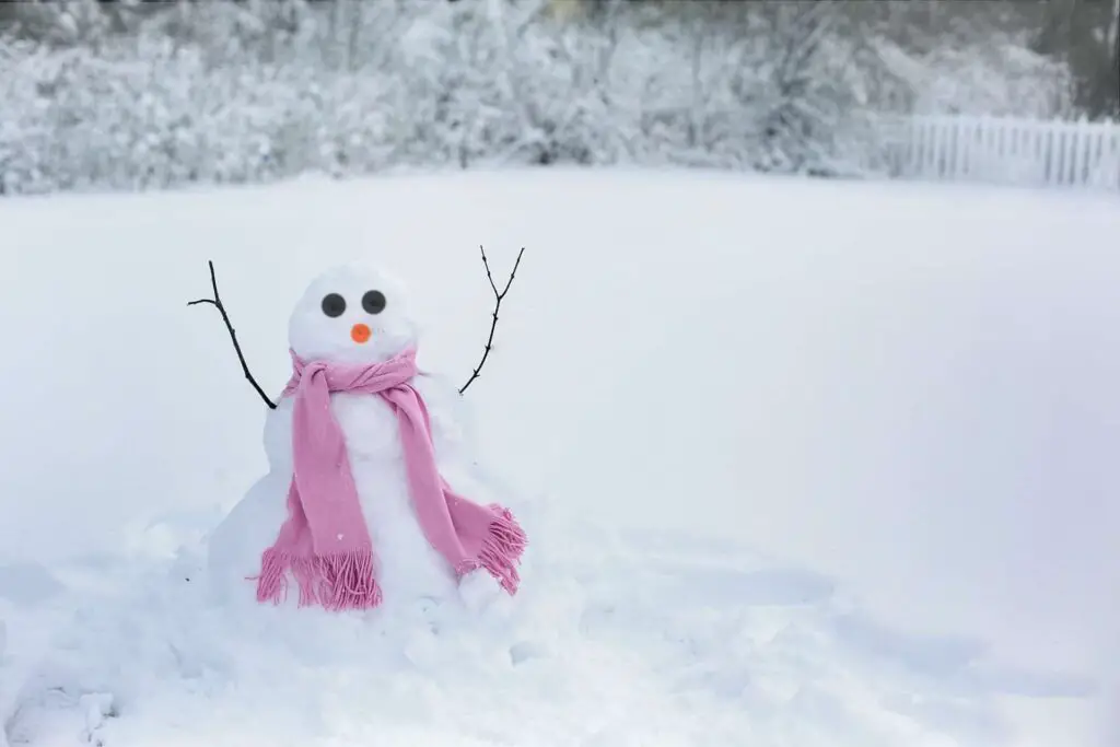 Ein schöner und stabiler Schneemann mit rosa Schal. Dieser Schneemann wurde bestimmt beim besten Wetter gebaut.