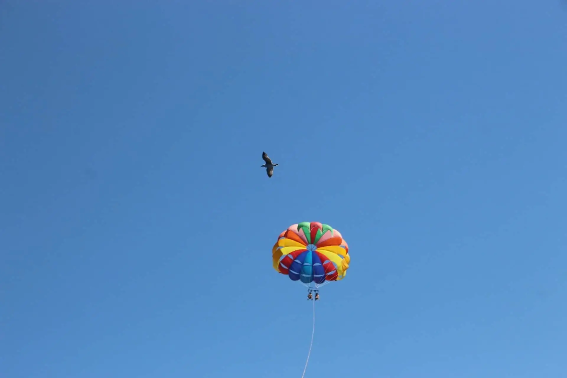 Beim Parasailing fliegt man ungefähr 150 Meter hoch
